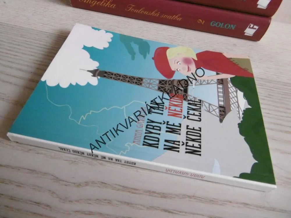 KDYBY TAK NA MĚ NĚKDO NĚKDE ČEKAL, ANNA GAVALDA, **an