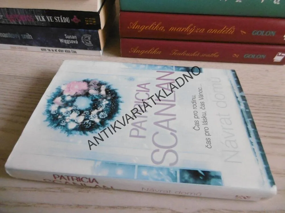 NÁVRAT DOMŮ, PATRICIA SCANLAN, **an