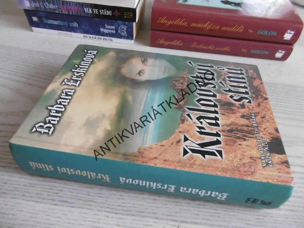 KRÁLOVSTVÍ STÍNŮ, BARBARA ERSKINOVÁ, **an