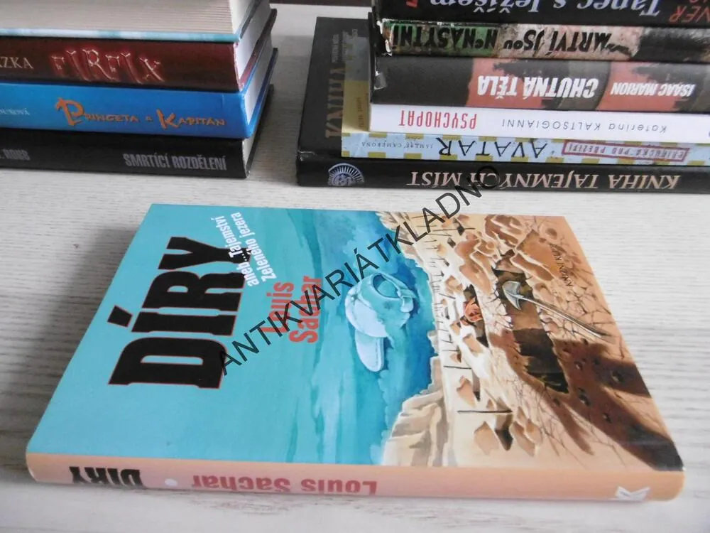 DÍRY ANEB... TAJEMSTVÍ ZELENÉHO JEZERA, LOUIS SACHAR, **an