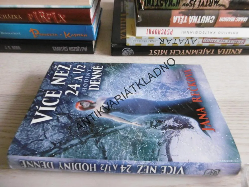 VÍCE NAŽ 24 A 1/2 HODINY DENNĚ, JANA REČKOVÁ, **an