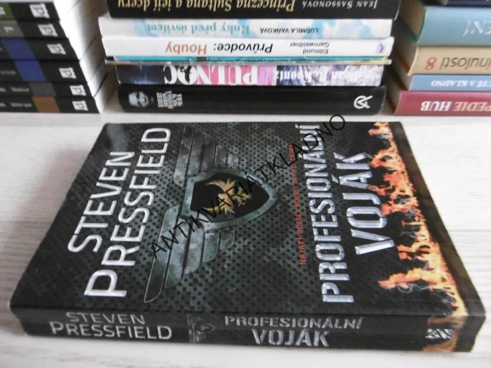 PROFESIONÁLNÍ VOJÁK, STEVEN PRESSFIELD, **an