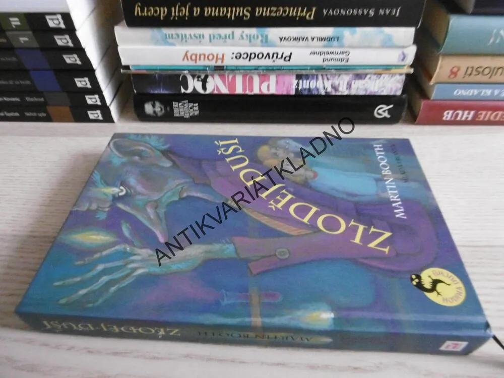 ZLODĚJ DUŠÍ, MARTIN BOOTH, **an