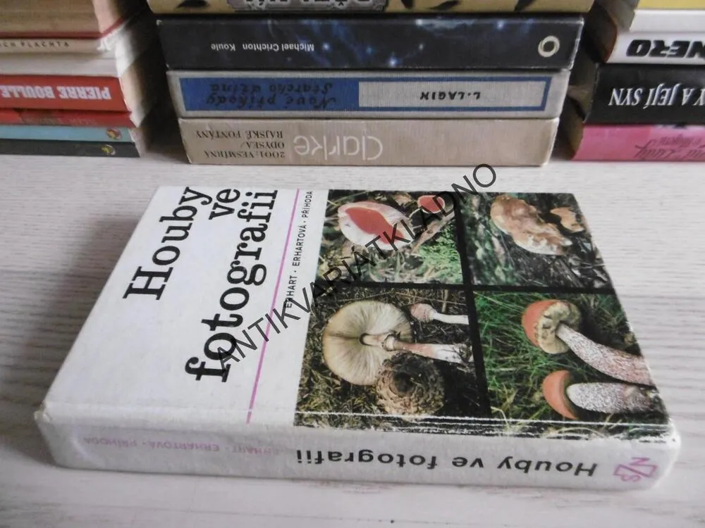 HOUBY VE FOTOGRAFII, ERHART, ERHARTOVÁ, PŘÍHODA, **an