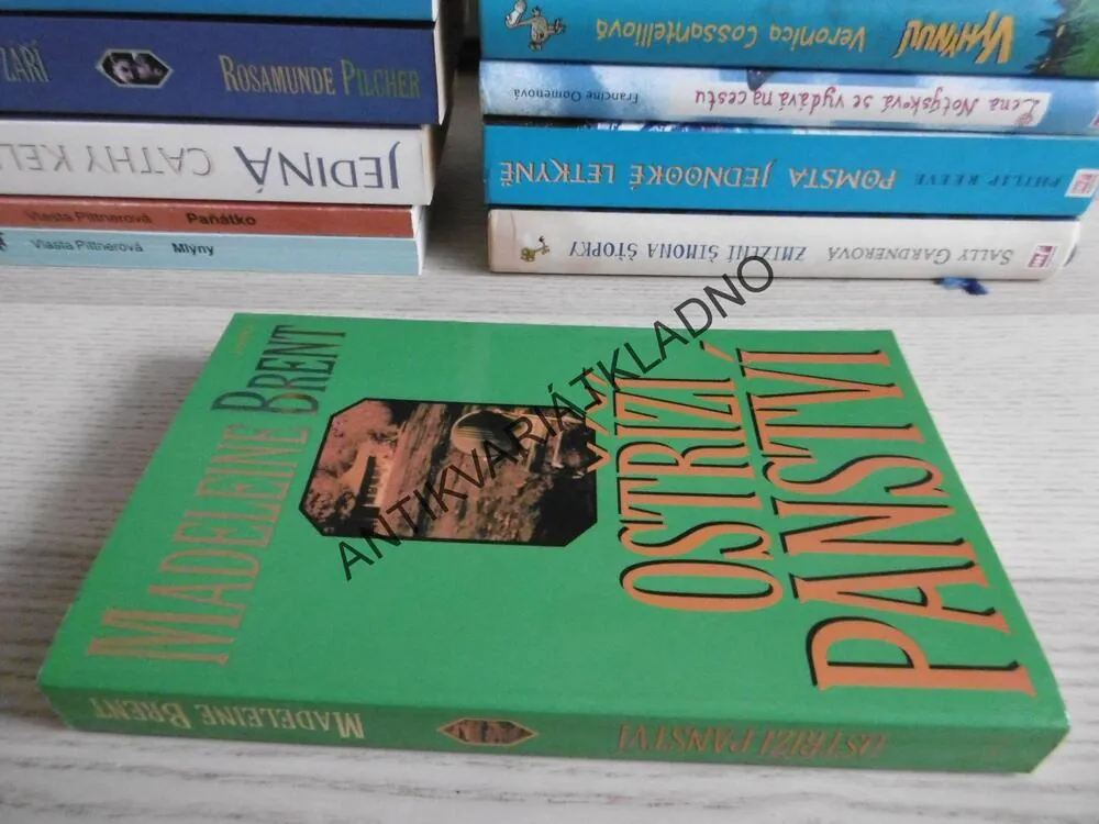 OSTŘÍŽÍ PANSTVÍ, MADELEINE BRENT, **an