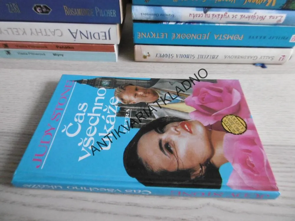 ČAS VŠECHNO UKÁŽE, JUDY STONE, **an