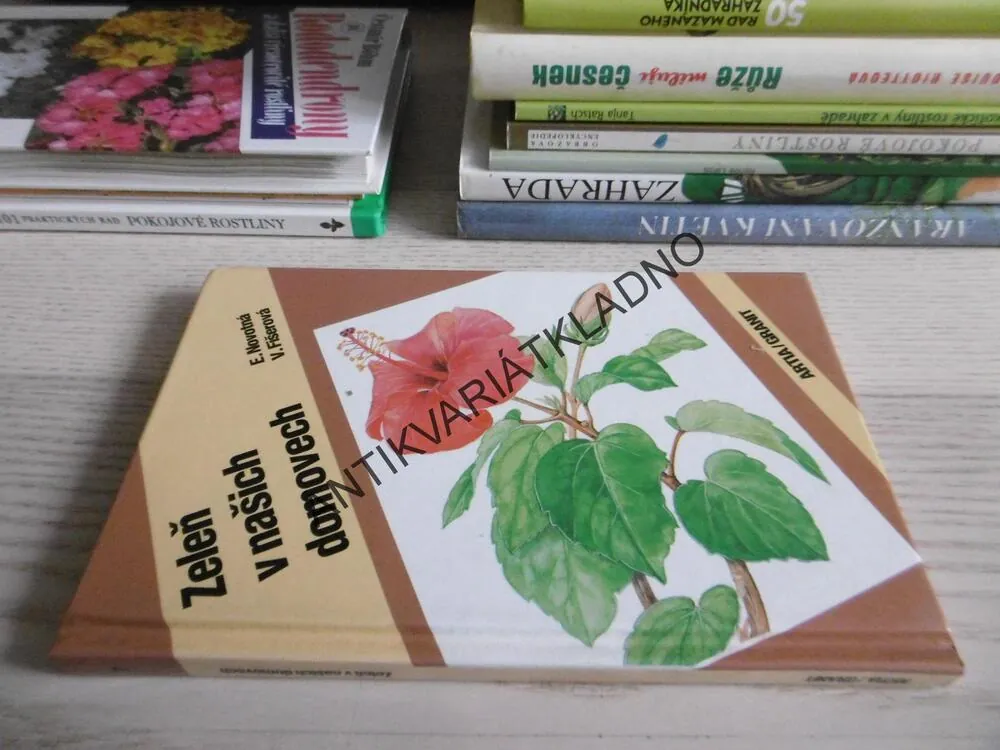 ZELEŇ V NAŠICH DOMOVECH, NOVOTNÁ, FIŠEROVÁ, **an