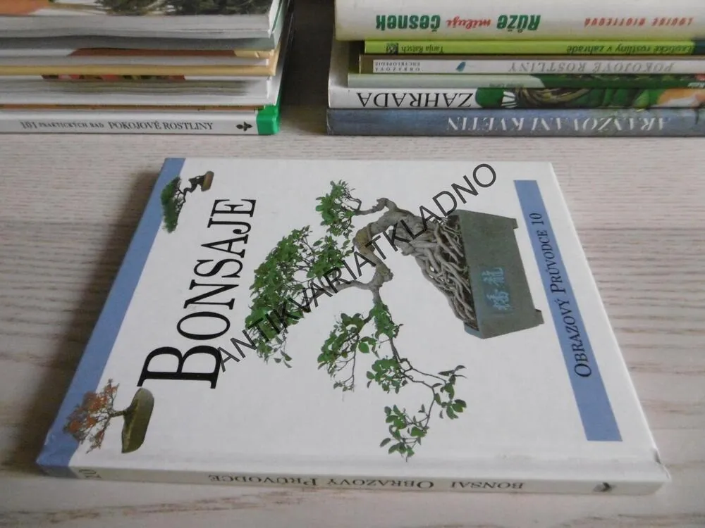 BONSAJE, **an