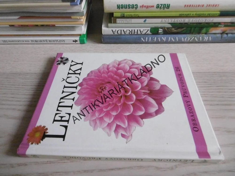 LETNIČKY, **an