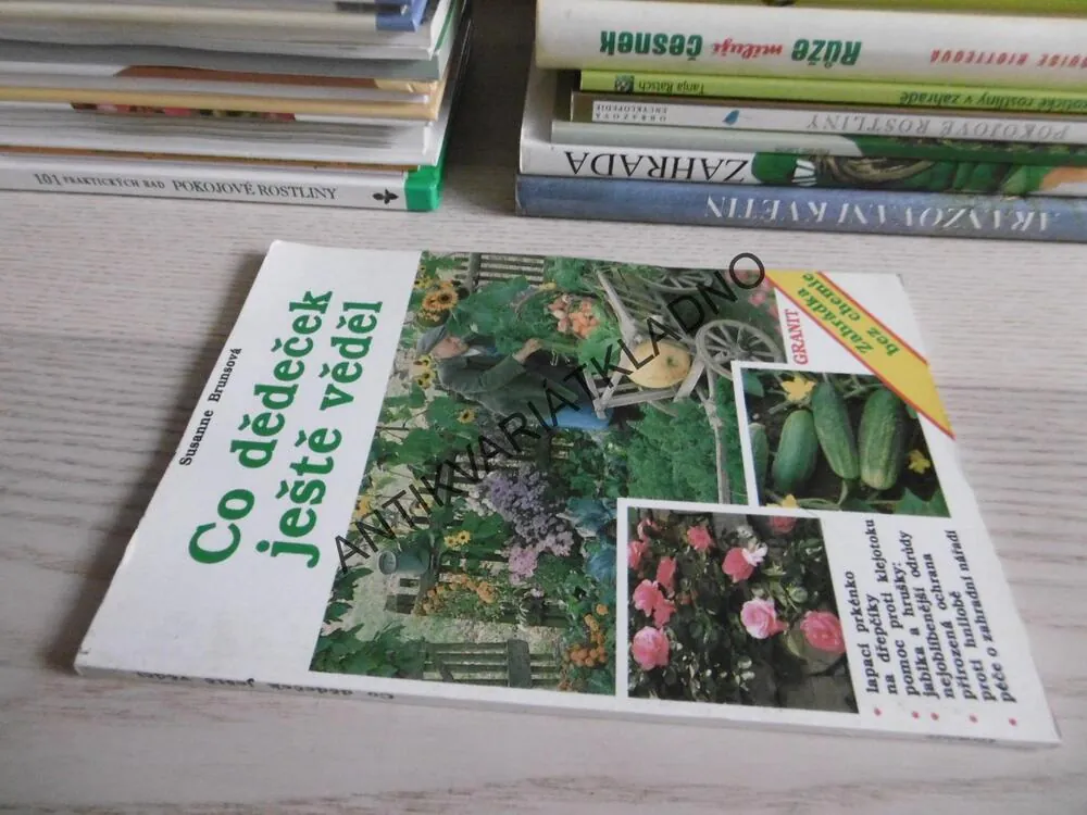 CO DĚDEČEK JEŠTĚ VĚDĚL, SUSANNE BRUNSOVÁ, **an
