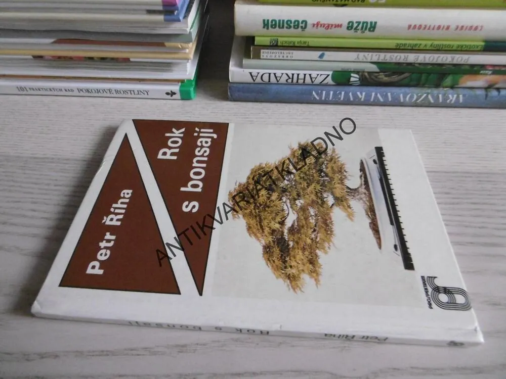 ROK S BONSAJÍ, PETR ŘÍHA, **an