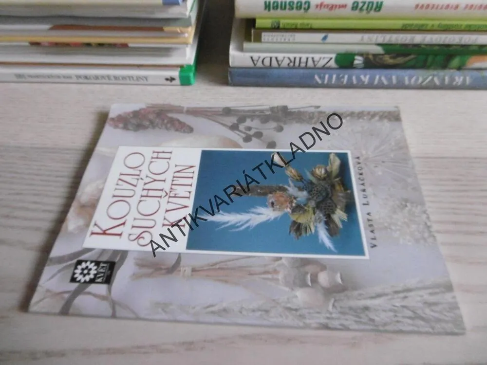 KOUZLO SUCHÝCH KVĚTIN, VLASTA LUŇÁČKOVÁ, **an
