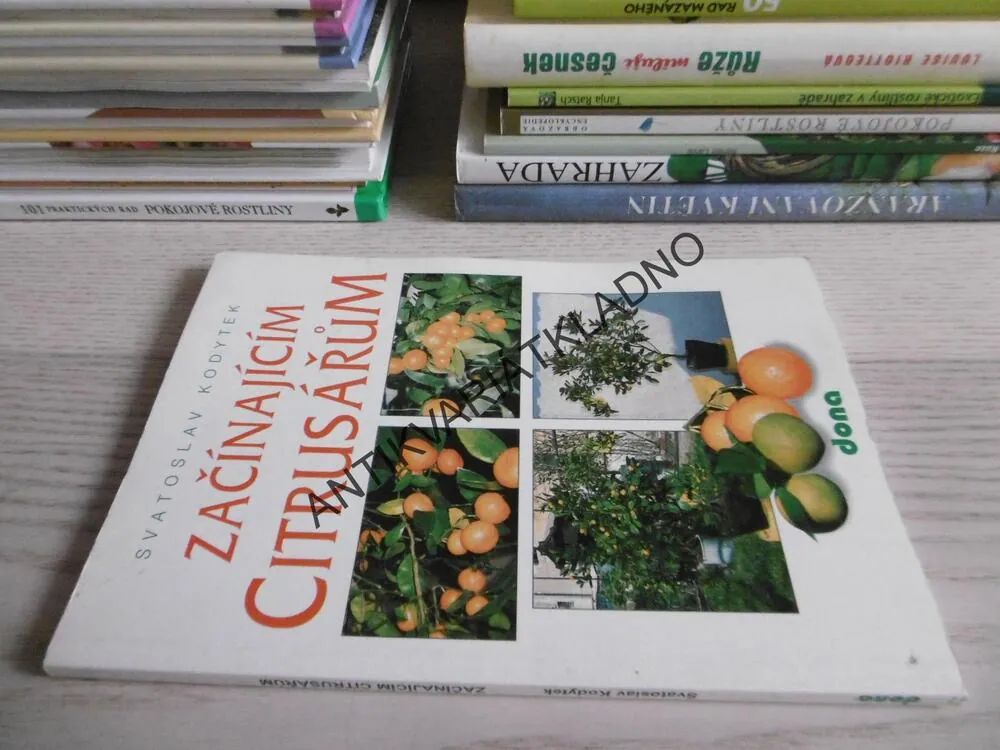ZAČÍNAJÍCÍM CITRUSÁŘŮM, SVATOSLAV KODYTEK, **an