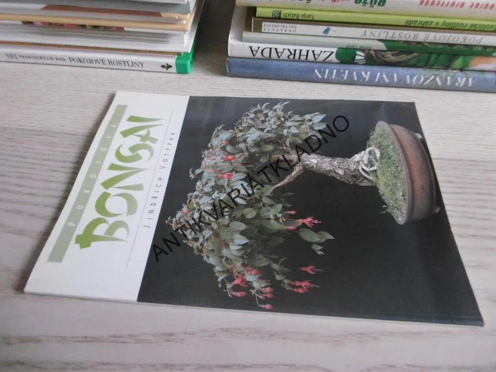 POKOJOVÁ BONSAI, JINDŘICH VOTÝPKA, **an