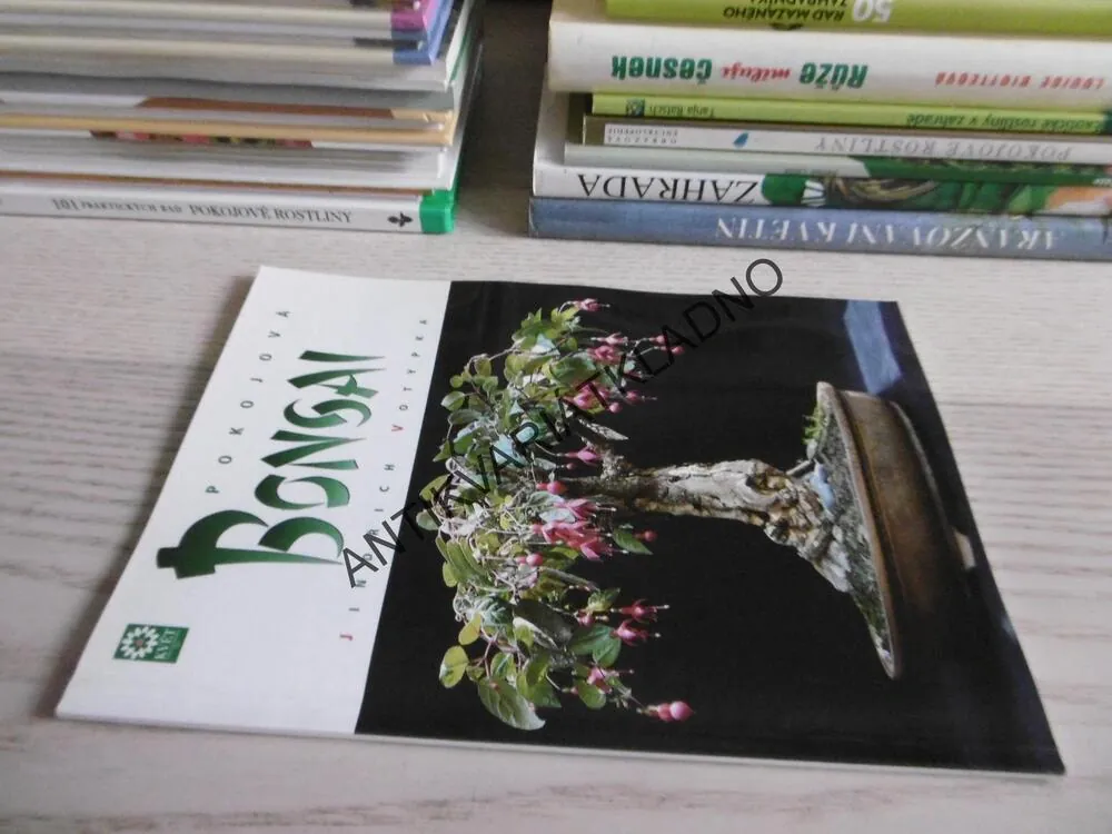 POKOJOVÁ BONSAI, JINDŘICH VOTÝPKA, **an