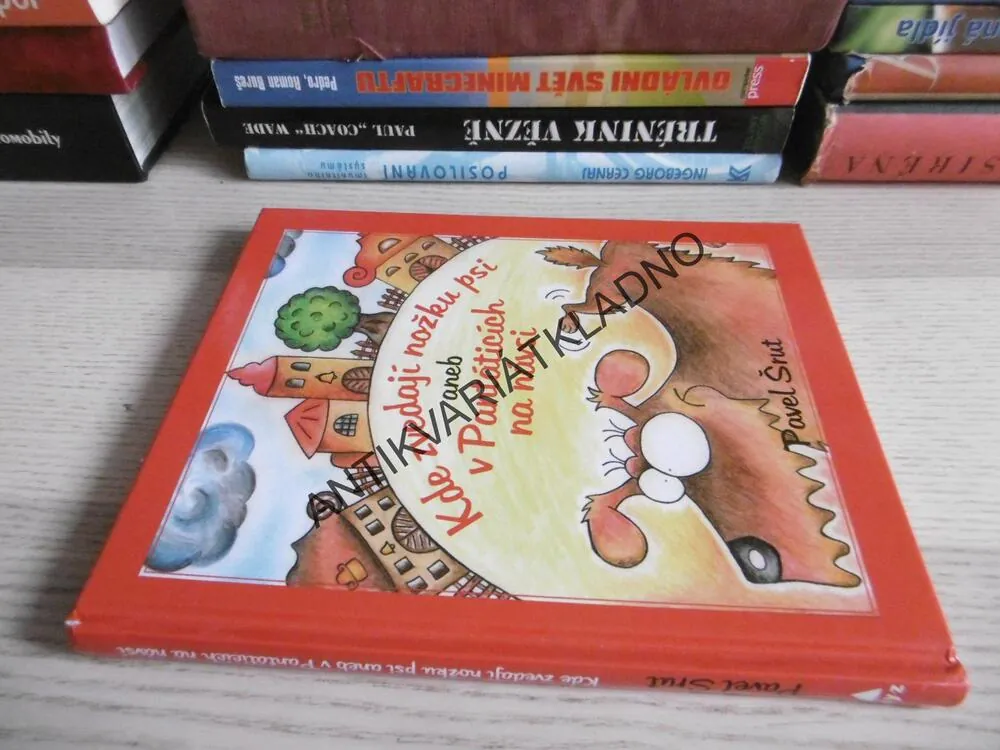KDE ZVEDAJÍ NOŽKU PSI ANEB V PÁNTÁTICÍCH NA NÁVSI, PAVEL ŠRUT, TEREZA SKOUPILOVÁ, **an