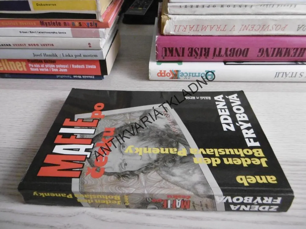 MAFIE PO ČESKU ANEB JEDEN DEN BOHUSLAVA PANENKY, ZDENA FRÝBOVÁ, **an