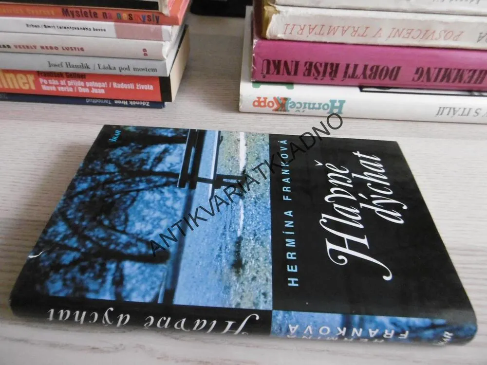 HLAVNĚ DÝCHAT, HERMÍNA FRANKOVÁ, **an