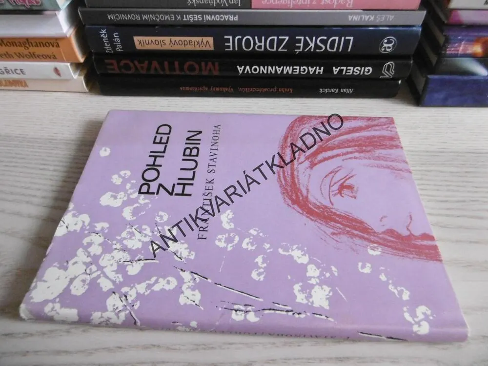 POHLED Z HLUBIN, FRANTIŠEK STAVINOHA, **an
