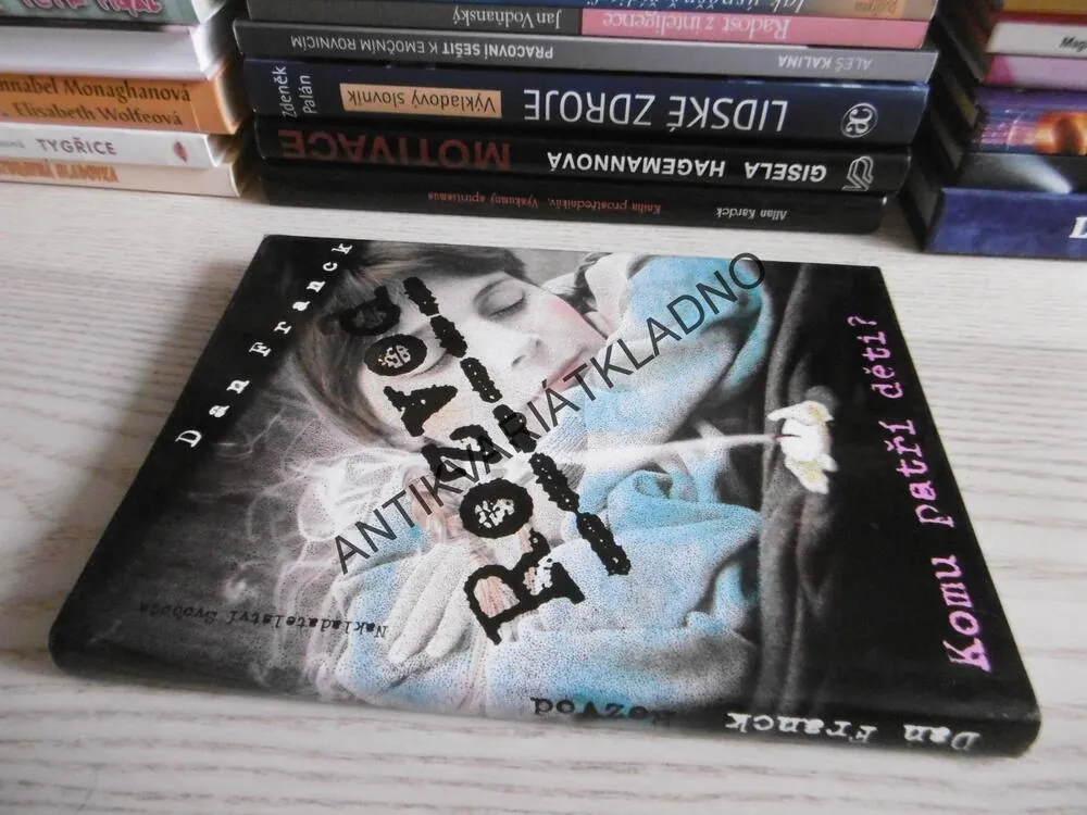 ROZVOD, DAN FRANCK, **an