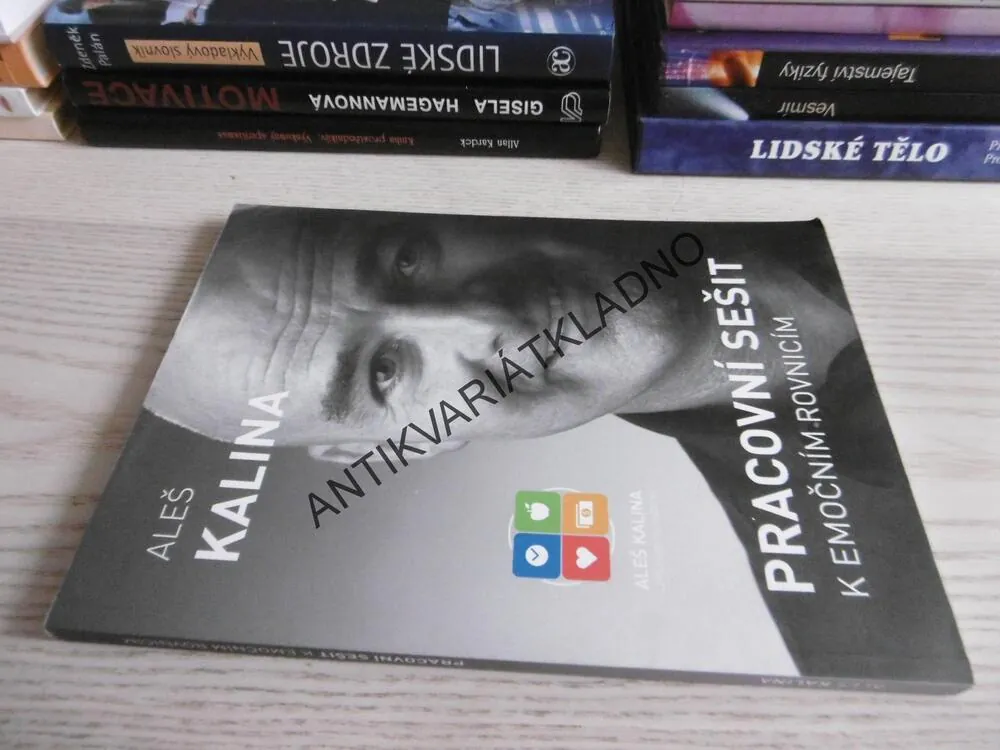 PRACOVNÍ SEŠIT K EMOČNÍM ROVNICÍM, ALEŠ KALINA, **an