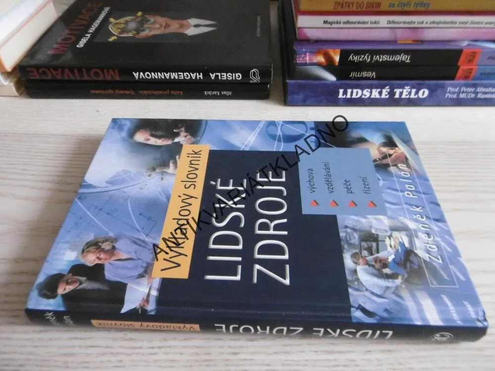 VÝKLADOVÝ SLOVNÍK - LIDSKÉ ZDROJE, ZDENĚK PALÁN, **an