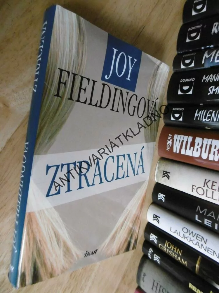 ZTRACENÁ, JOY FIELDINGOVÁ