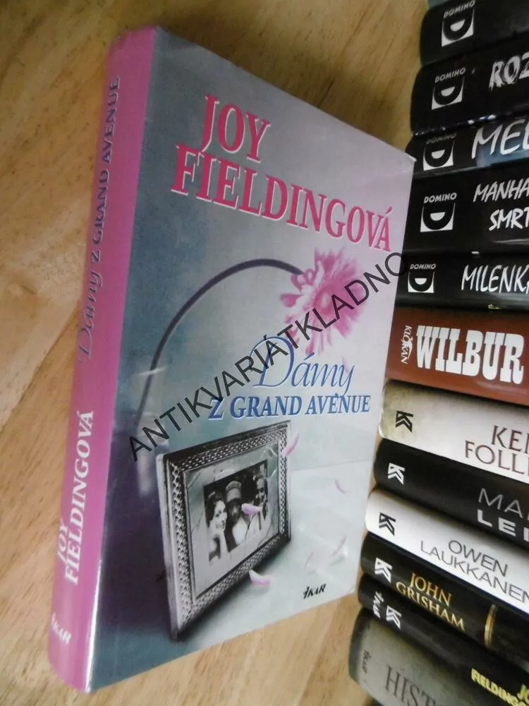 DÁMY Z GRAND AVENUE, JOY FIELDINGOVÁ, **an