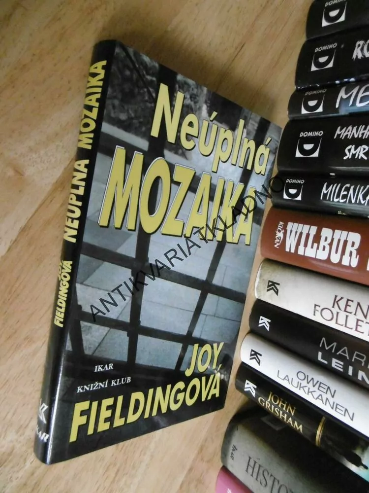 NEÚPLNÁ MOZAIKA, JOY FIELDINGOVÁ, **an