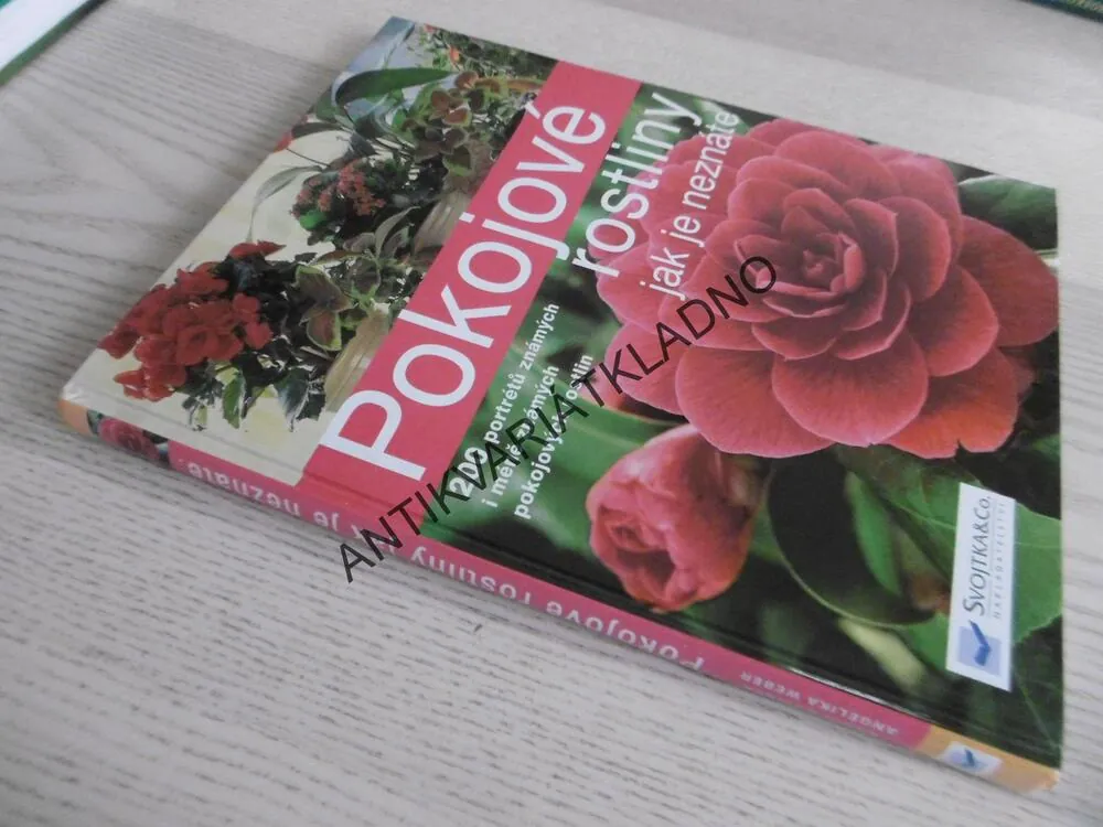 POKOJOVÉ ROSTLINY JAK JE NEZNÁTE, KARIN GREINER, ANGELIKA WEBEROVÁ, **an