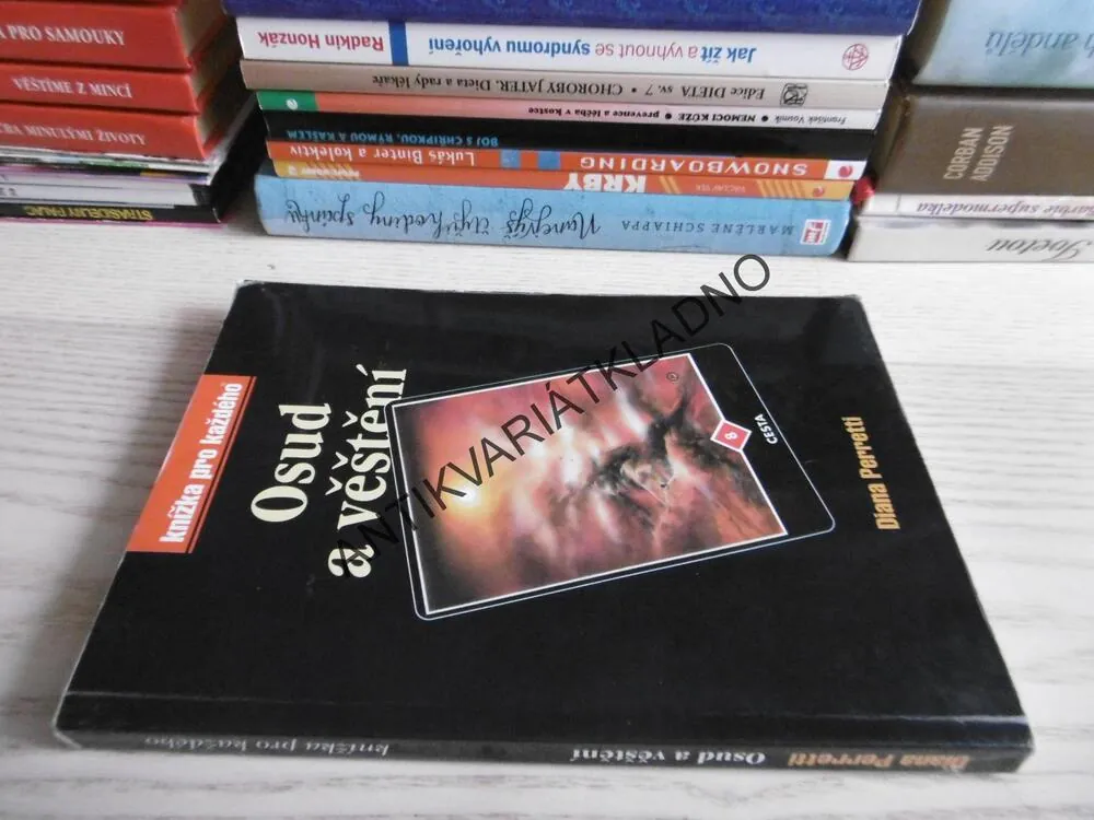 OSUD A VĚŠTĚNÍ, DIANA PERRETTI, **an
