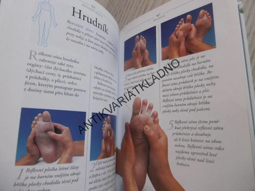 REFLEXNÍ MASÁŽ V KOSTCE, NICOLA HALLOVÁ, **an