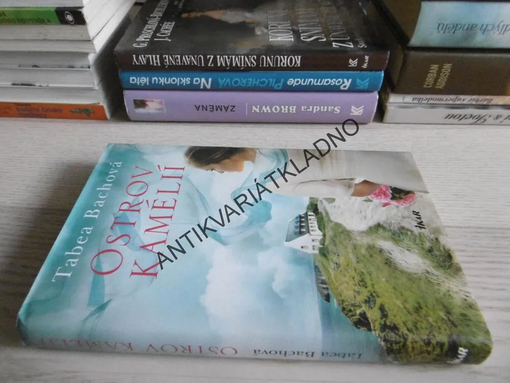 OSTROV KAMÉLIÍ, TABEA BACHOVÁ, **an