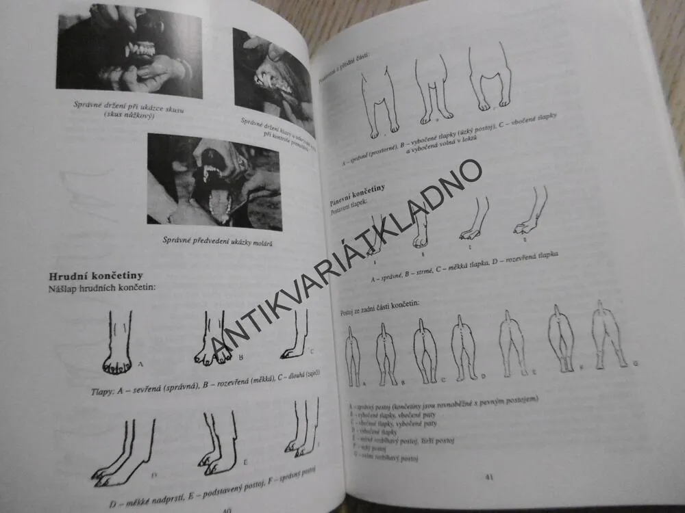 PRAŽSKÝ KRYSAŘÍK, JAN FINDEJS, **an