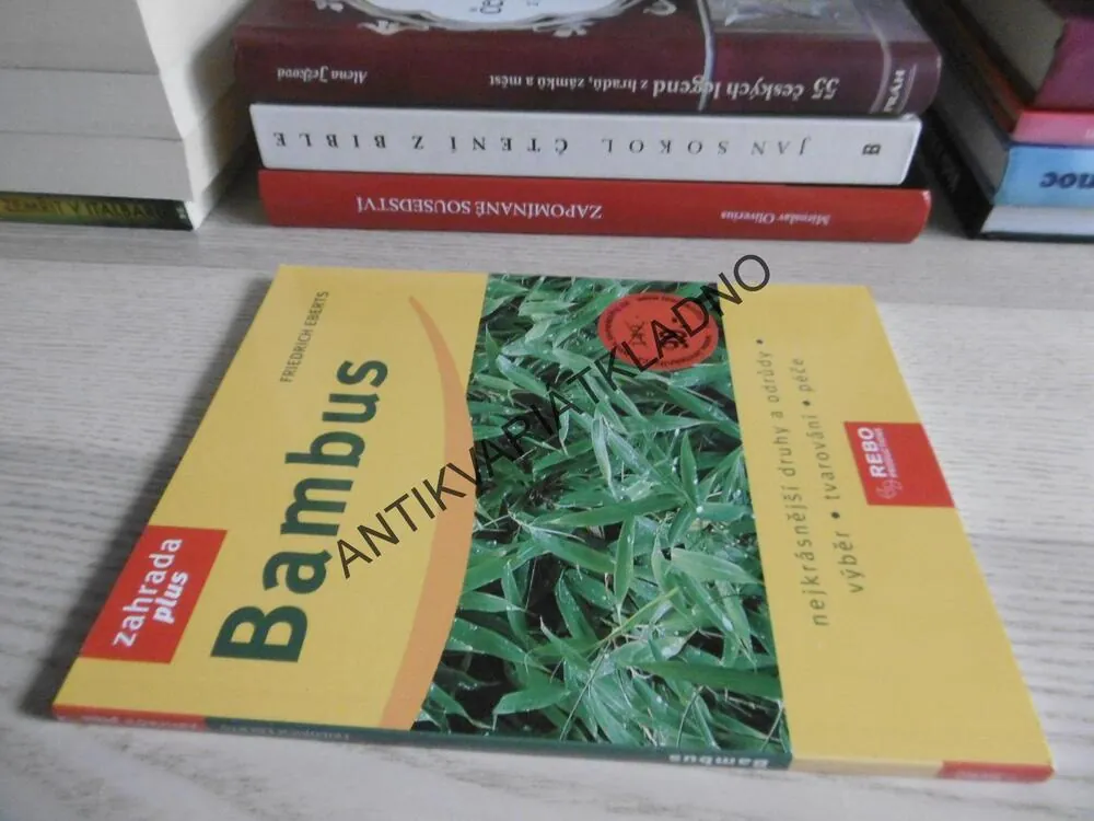 BAMBUS, FRIEDRICH EBERTS, **an