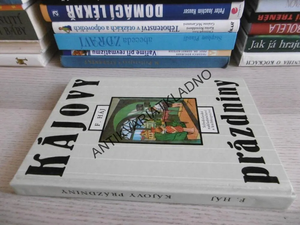 KÁJOVY PRÁZDNINY, FELIX HÁJ, **an