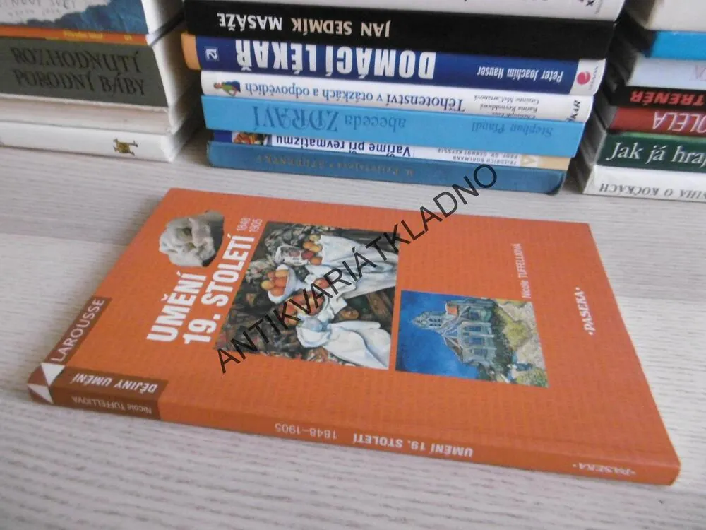 UMĚNÍ 19. STOLETÍ, 1848 - 1905, NICOLE TUFFELLIOVÁ, **an