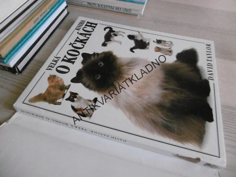 VELKÁ KNIHA O KOČKÁCH, DAVID TAYLOR, **an
