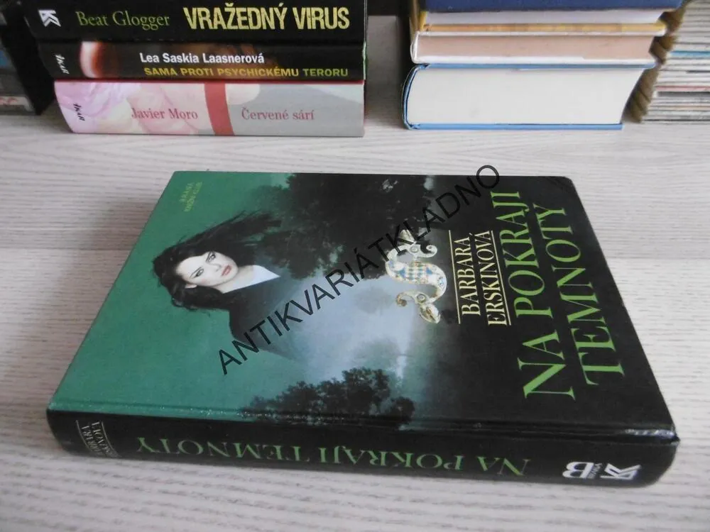 NA POKRAJI TEMNOTY, BARBARA ERSKINOVÁ, **an