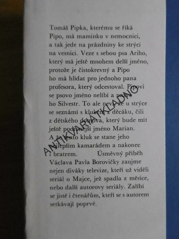 MATEŘSKÉ ZNAMÉNKO, V.P.BOROVIČKA, NOLL, **an