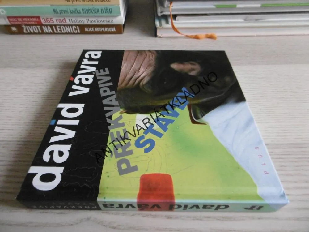 PŘEKVAPIVÉ STAVBY, DAVID VÁVRA, **an