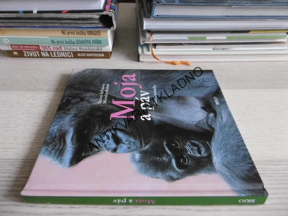 MOJA A PÁV, TEREZA ŠEFRNOVÁ, MIROSLAV BOBEK, **an