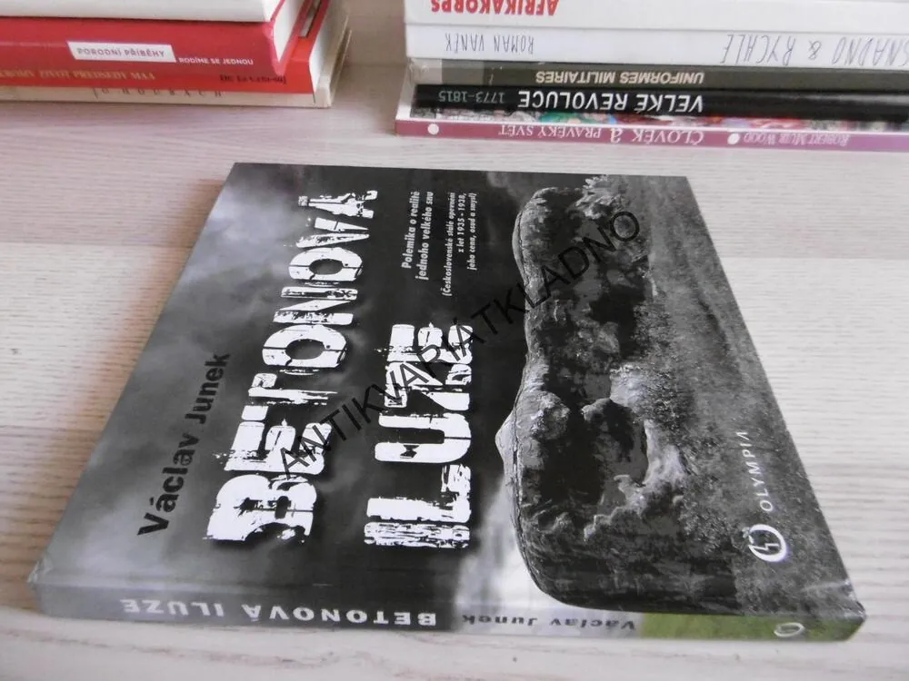 BETONOVÁ ILUZE, VÁCLAV JUNEK, **an