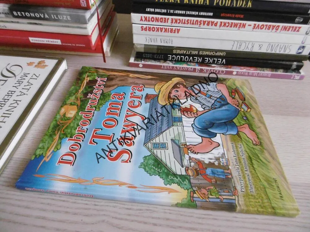 DOBRODRUŽSTVÍ TOMA SAWYERA, **an