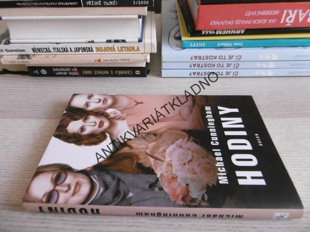 HODINY, MICHAEL CUNNINGHAM, **an