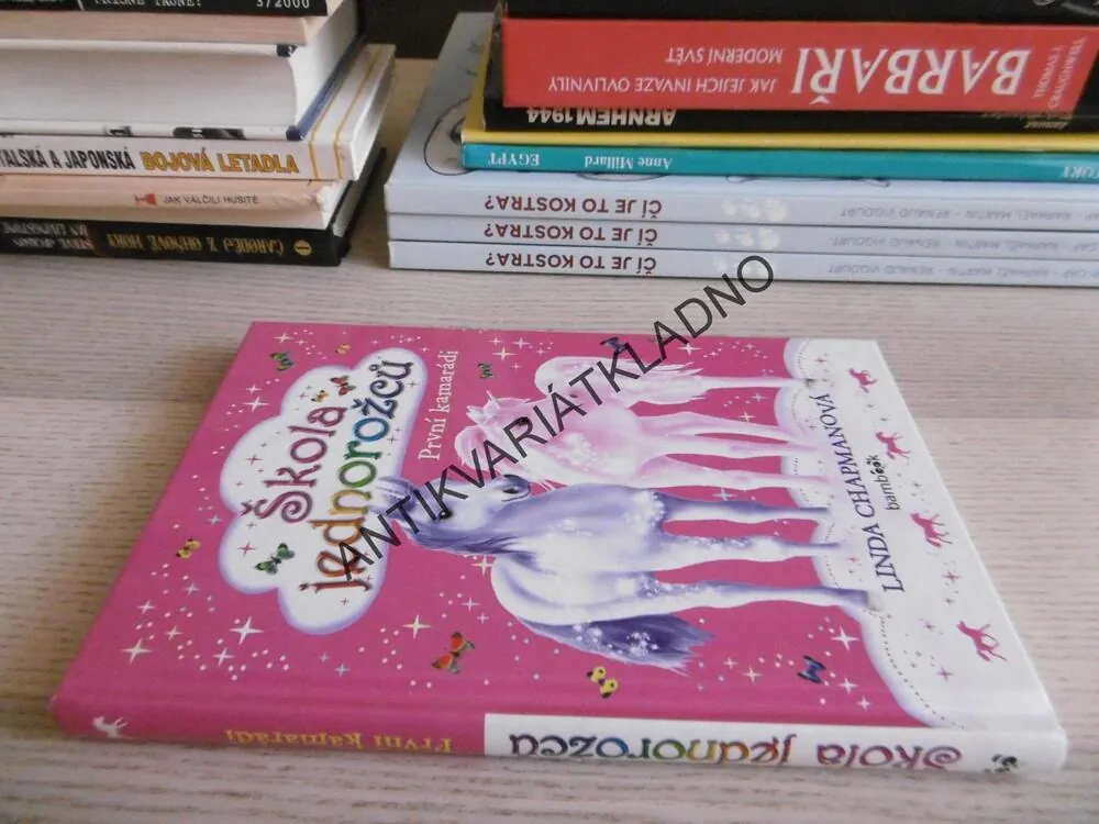 ŠKOLA JEDNOROŽCŮ, PRVNÍ KAMARÁDI, LINDA CHAPMANOVÁ, **an