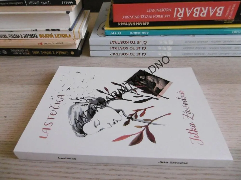 LASTOČKA, JITKA ZÁVODNÁ, **an