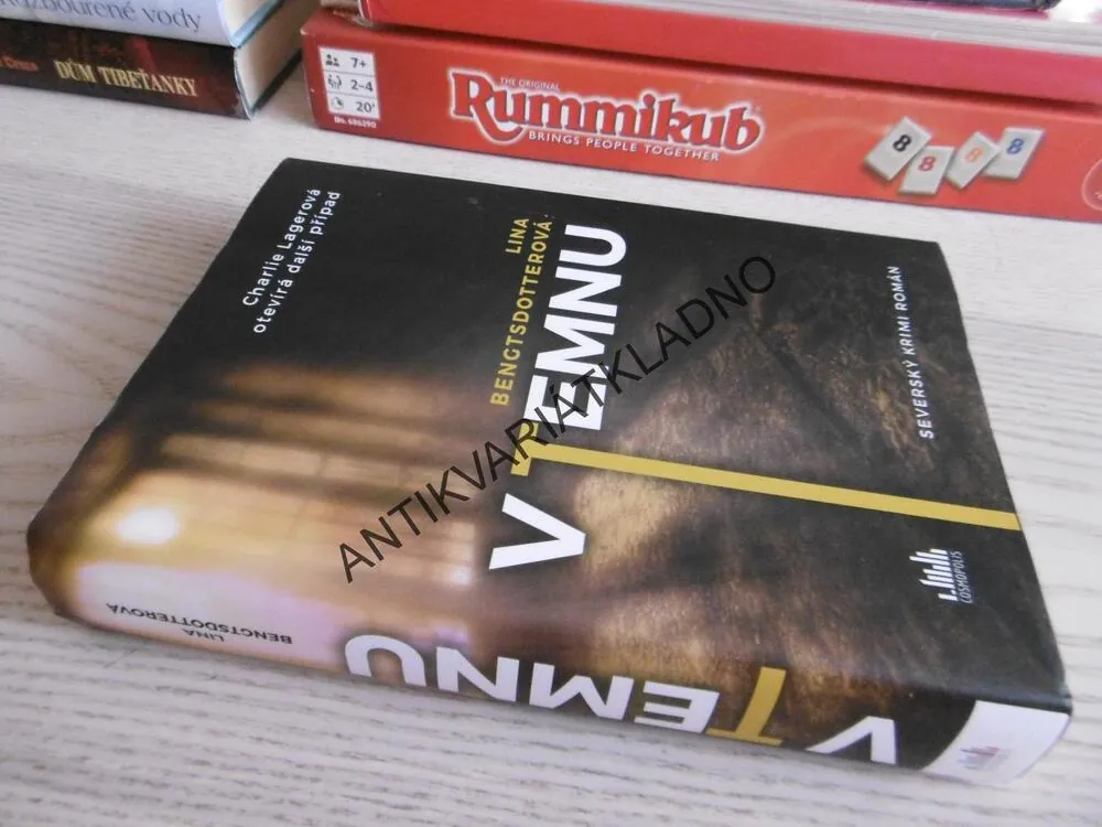 V TEMNU, LINA BENGTSDOTTEROVÁ, **an