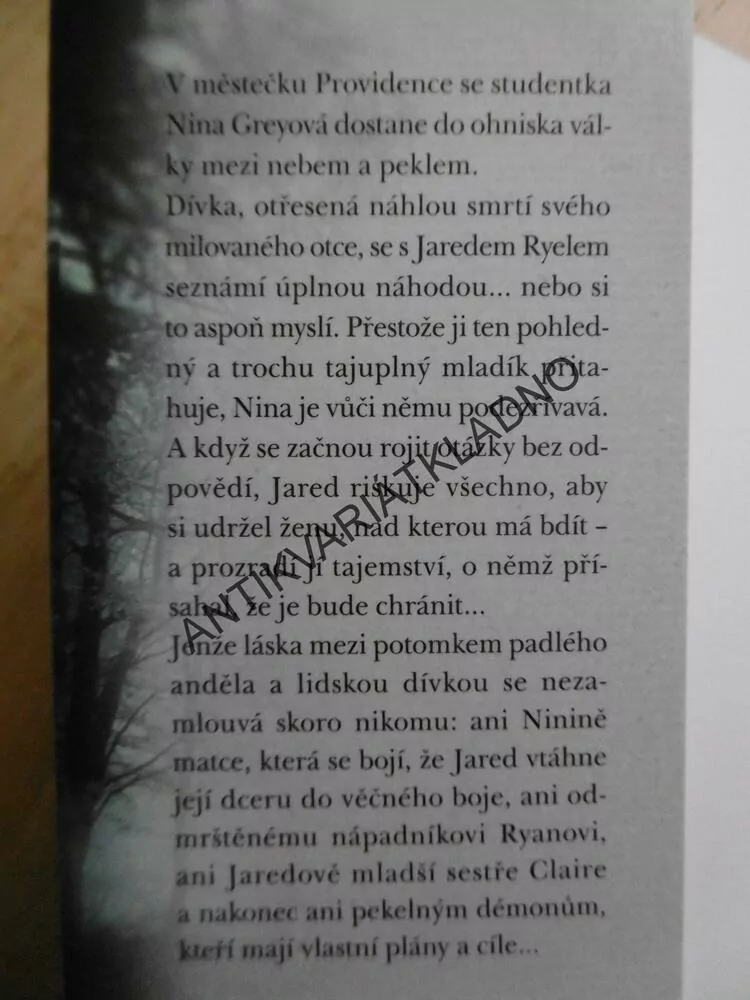 PROZŘETELNOST, JAMIE MCGUIRE, **an