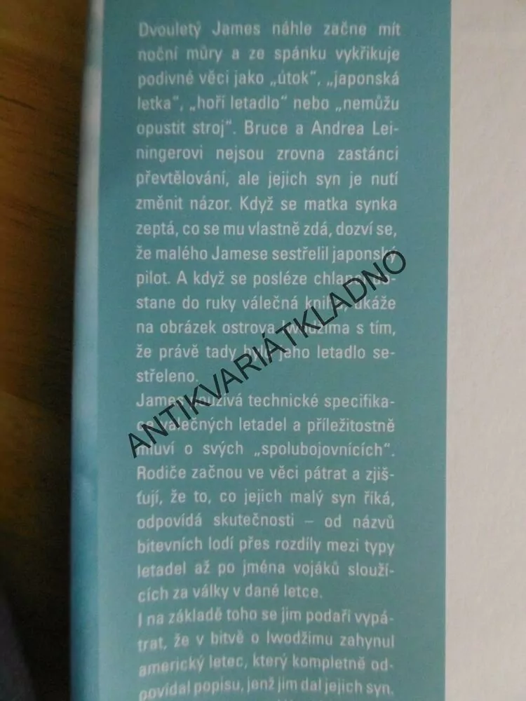 MOST ČASU, LETECTVÍ, PILOT, BRUCE LEININGER, GROSS